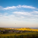 Vignoble - 019